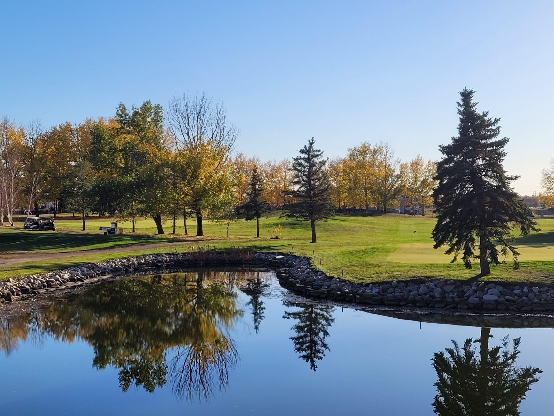 group of people playing-golf